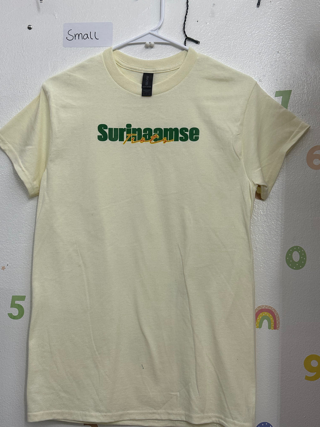 Adult Graphic Tee