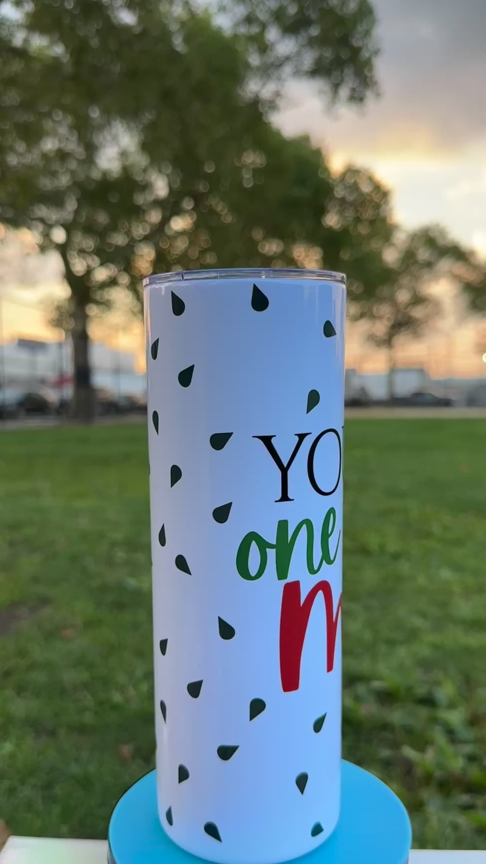 Watermelon Tumblers